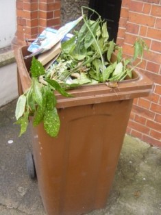 NE Lincolnshire council's cabinet wants to introduce a charge for collecting green waste at the kerbside